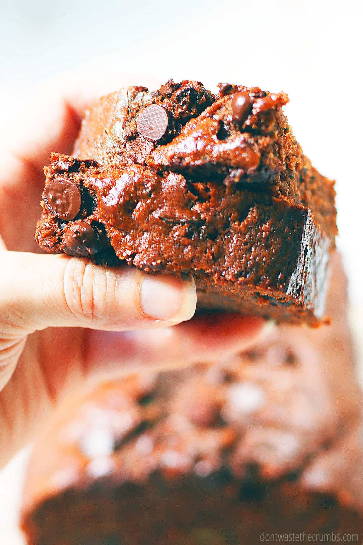 A hand holding a slice of chocolate zucchini bread.