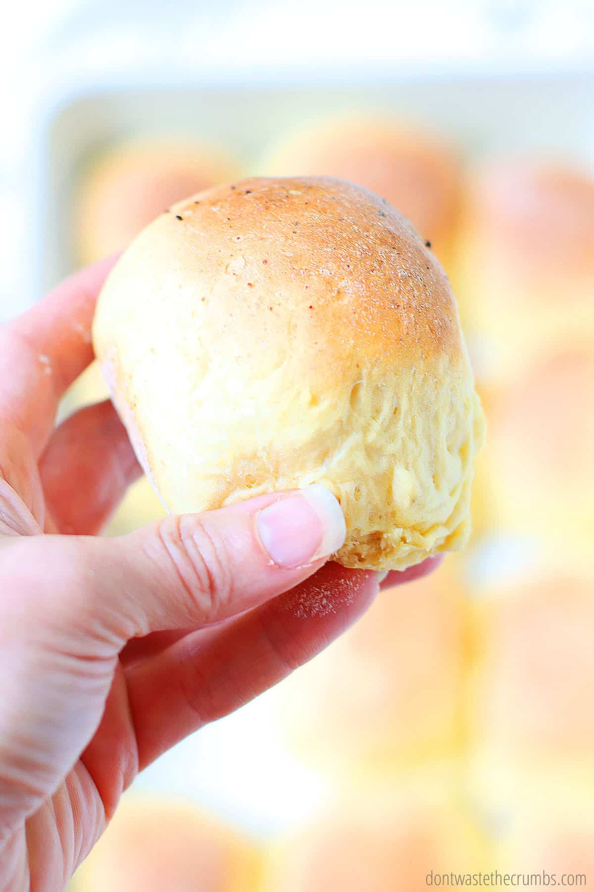 Hand holding  a fluffy einkorn dinner roll.