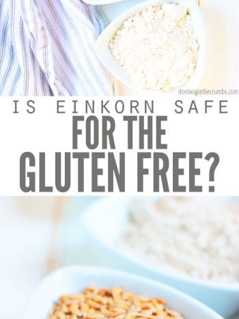 Are you sensitive to gluten? Einkorn might be your new best friend. This ancient grain remains unchanged, making it easier to digest than modern wheat. From pizza dough to coffee cake to sandwich bread, give einkorn flour a try!