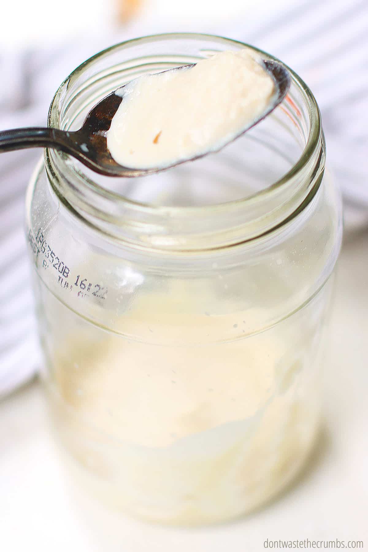 A glass jar with gluten free sourdough starter in it. There is a spoon with some sourdough in it.