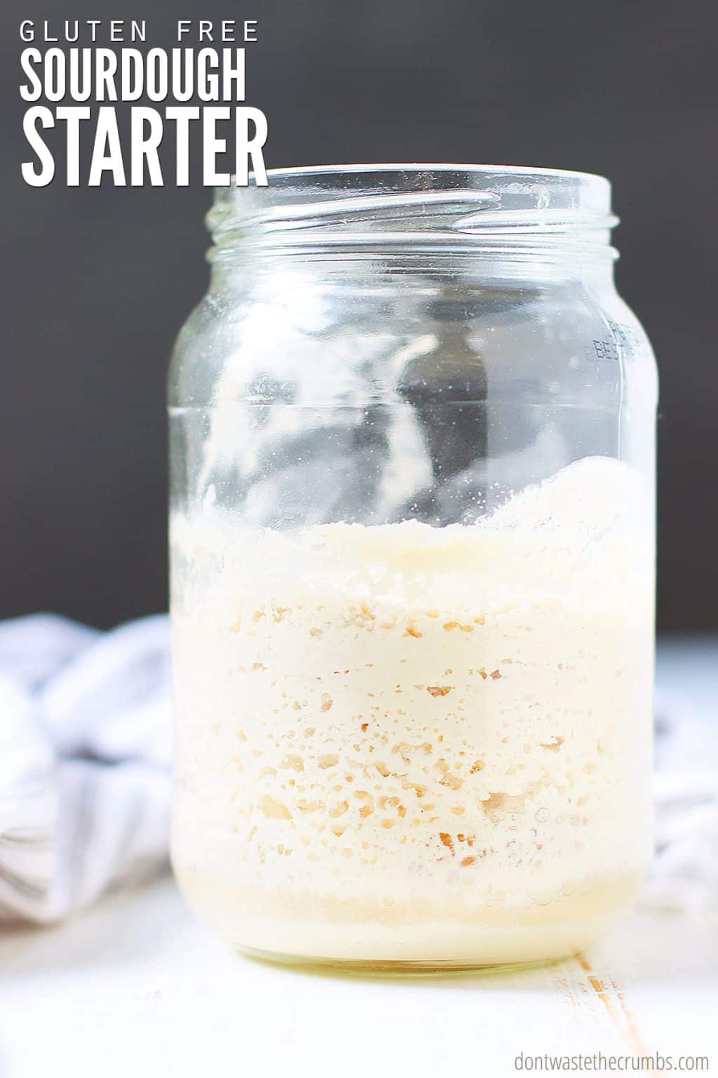 Easy Gluten-Free Sourdough Starter | 1 Ingredient!