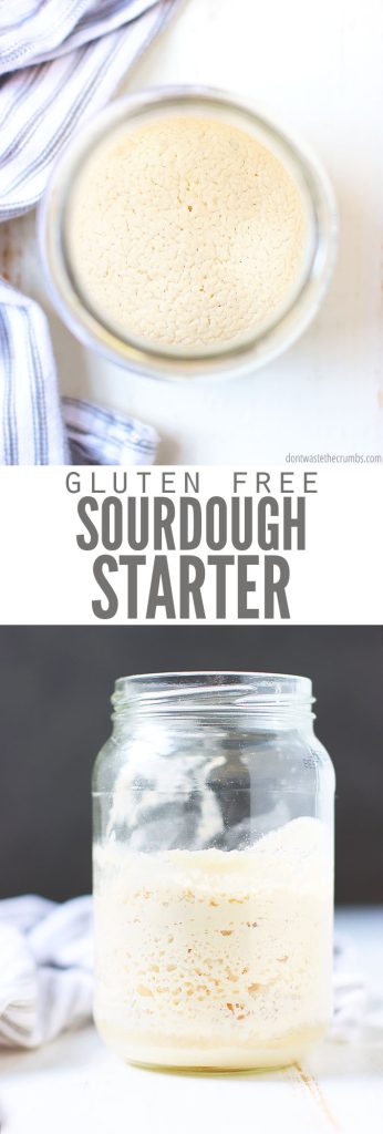 This step-by-step tutorial on making a gluten-free sourdough starter with brown rice flour. It can easily adapted to any gluten-free flour!