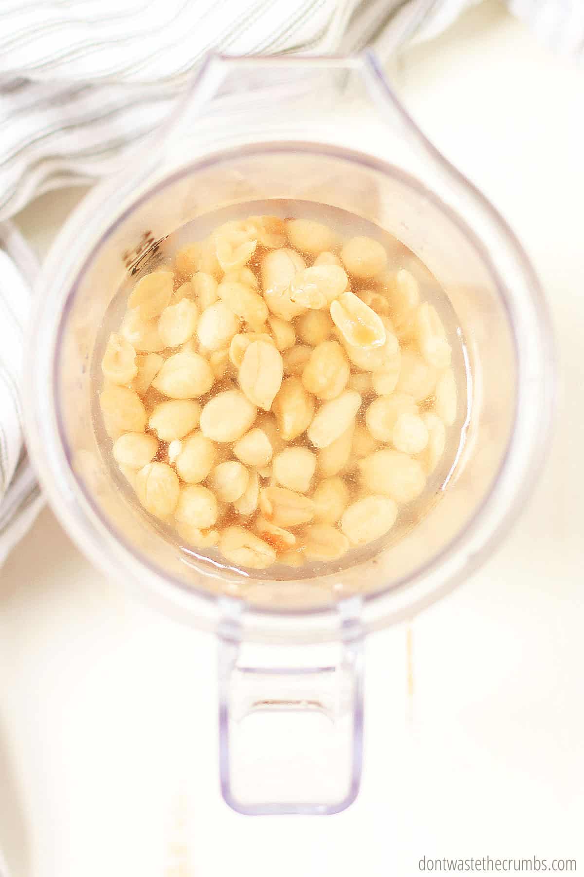 To make peanut milk, put your soaked peanuts into a blender with water.