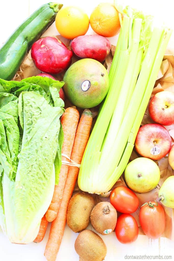 Lettuce, carrots, celery, cucumber, oranges,, kiwi, potatoes, mango, zucchini, and tomatoes are laid out on a table.