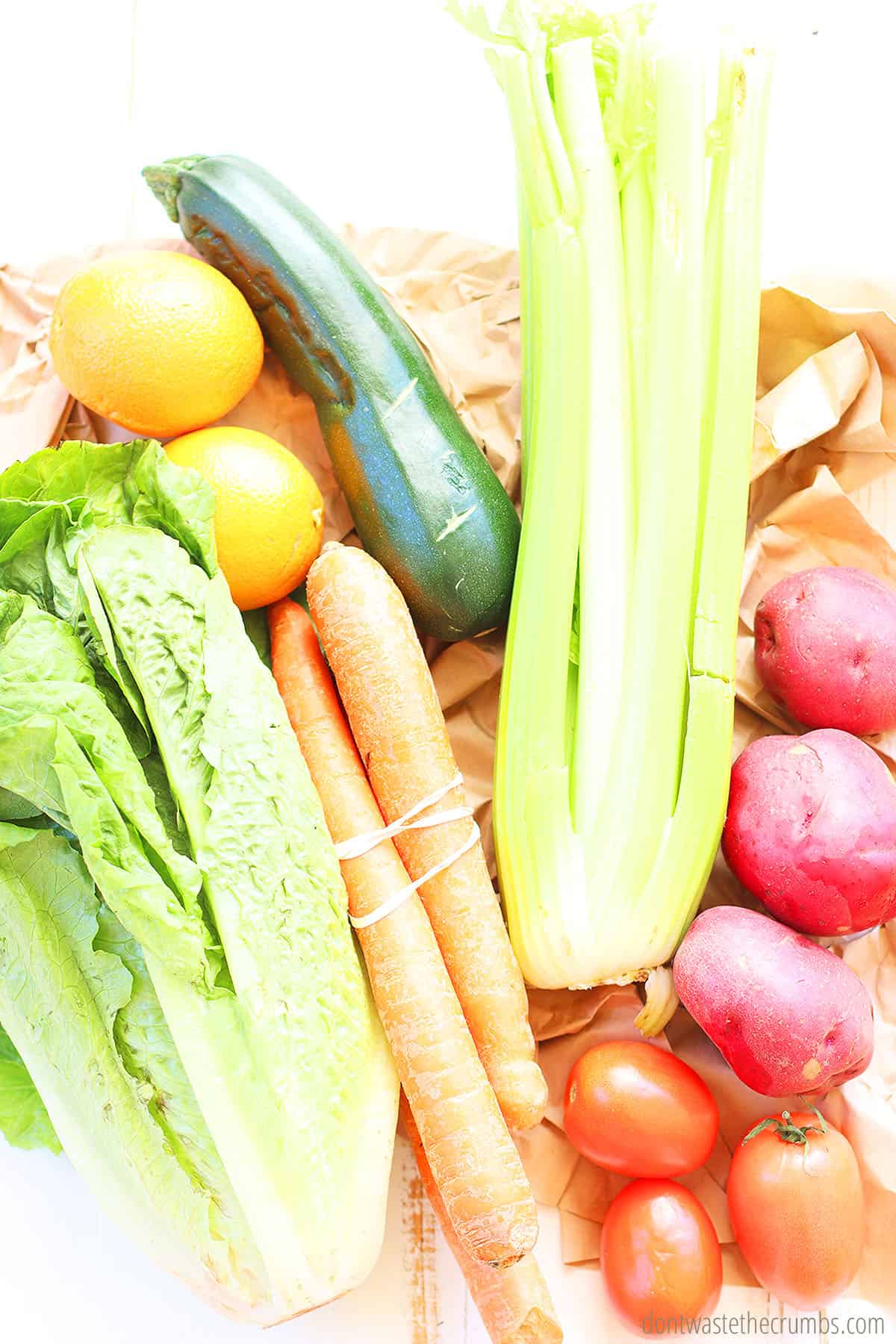 A variety of seasonal vegetables that can be provided by a CSA. Potatoes, carrots, tomotoes, lettuce and zucchini.