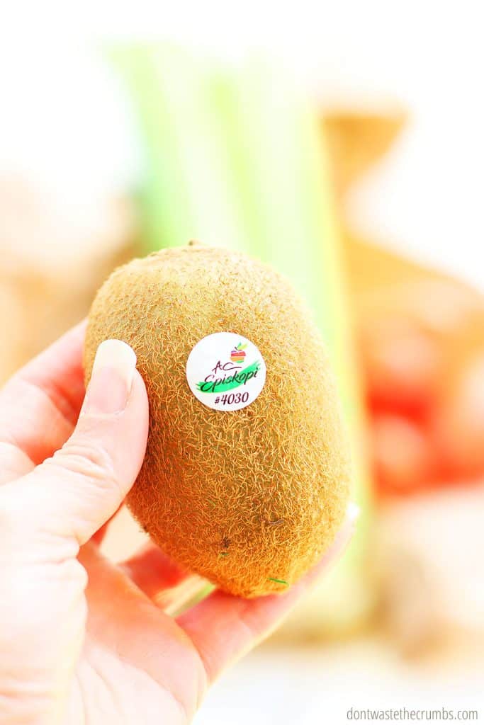 A hand holding a kiwi up close and there is a PLU sticker on it.