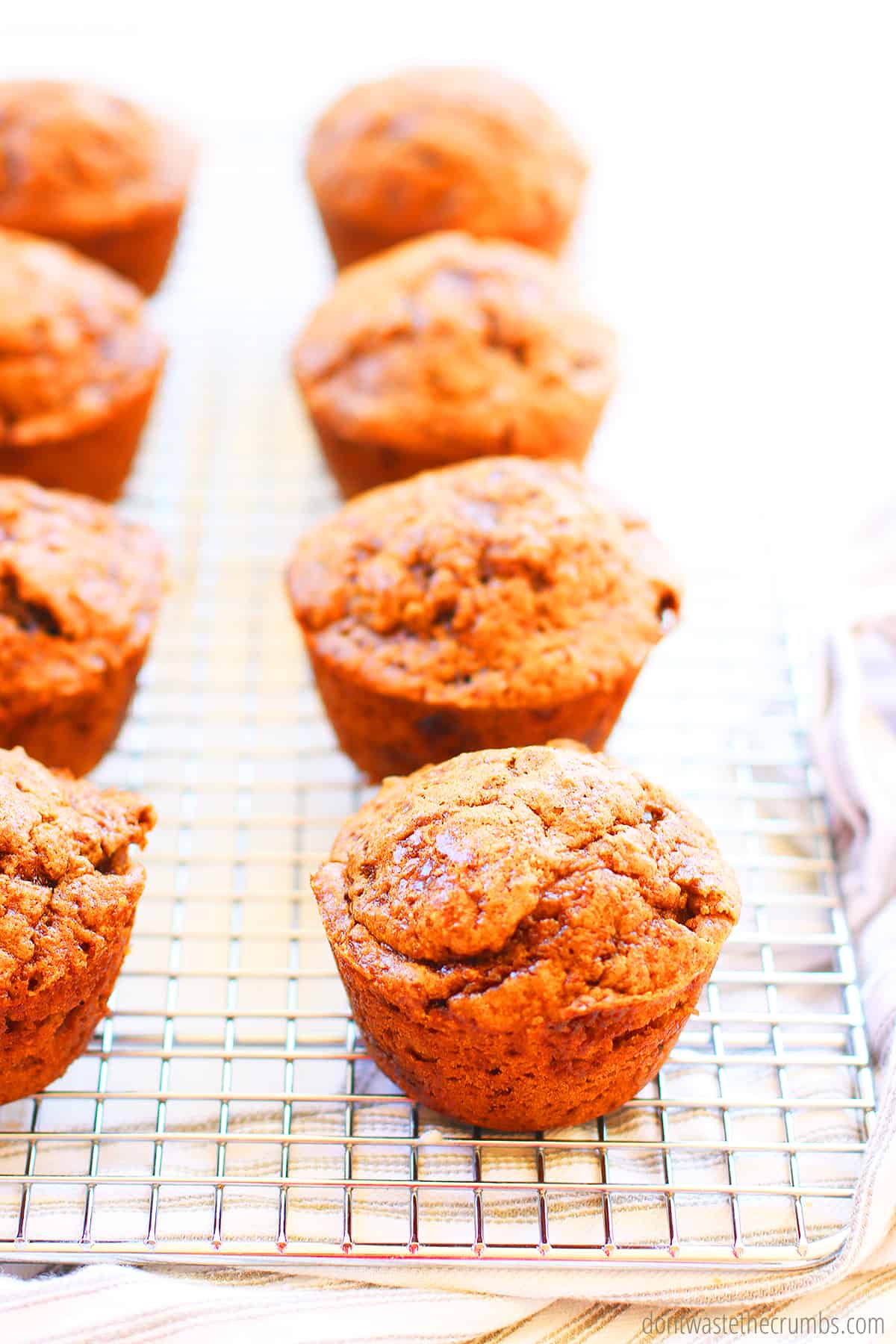 A freshly baked batch of applesauce muffins cools on a wire rack. Golden brown with a warm crusty top, these applesauce muffins are moist and delicious.