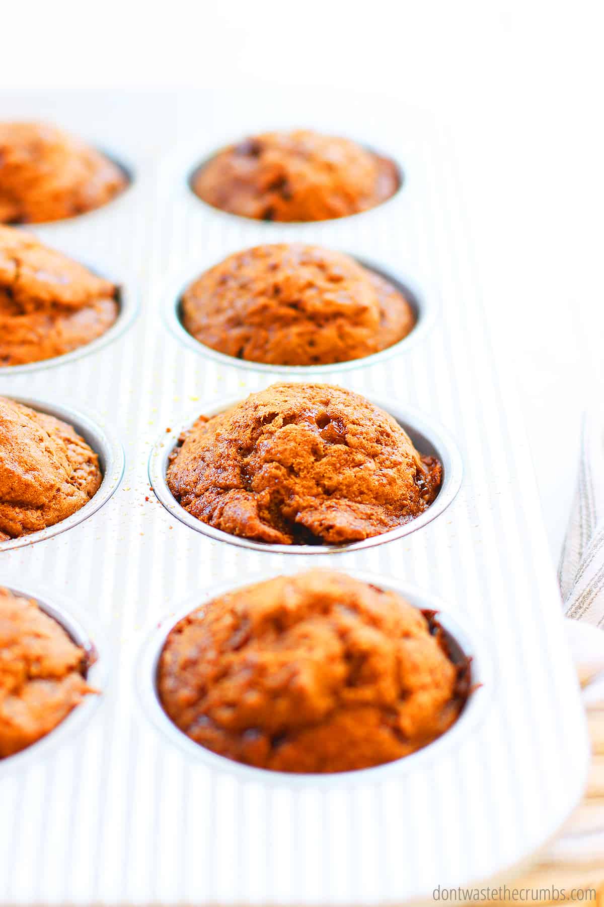 Freshly baked and golden brown applesauce muffins cool in the muffin tin before enjoying.