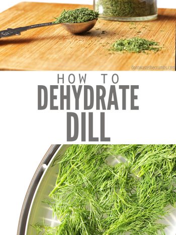 A collage. Top photo has an open jar of dried dill, with a handwritten chalkboard label sitting on a wooden cutting board, with a measuring spoon full of dill to the left and a small pile of dried dill in front. Bottom photo shows fresh dill in a dehydrating tray. Text overlay reads "How to Dehydrate Dill"