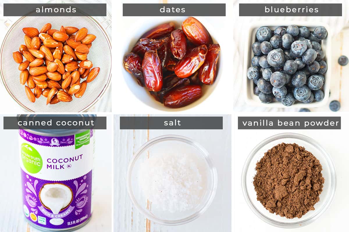 Image containing recipe ingredients almonds, dates, blueberries, coconut milk, salt, and vanilla bean powder. 