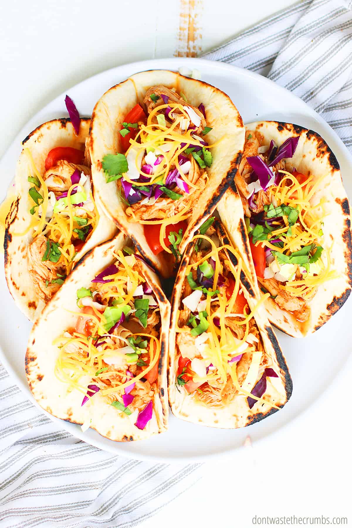 Five slow cooker chicken tacos on a white plate.
