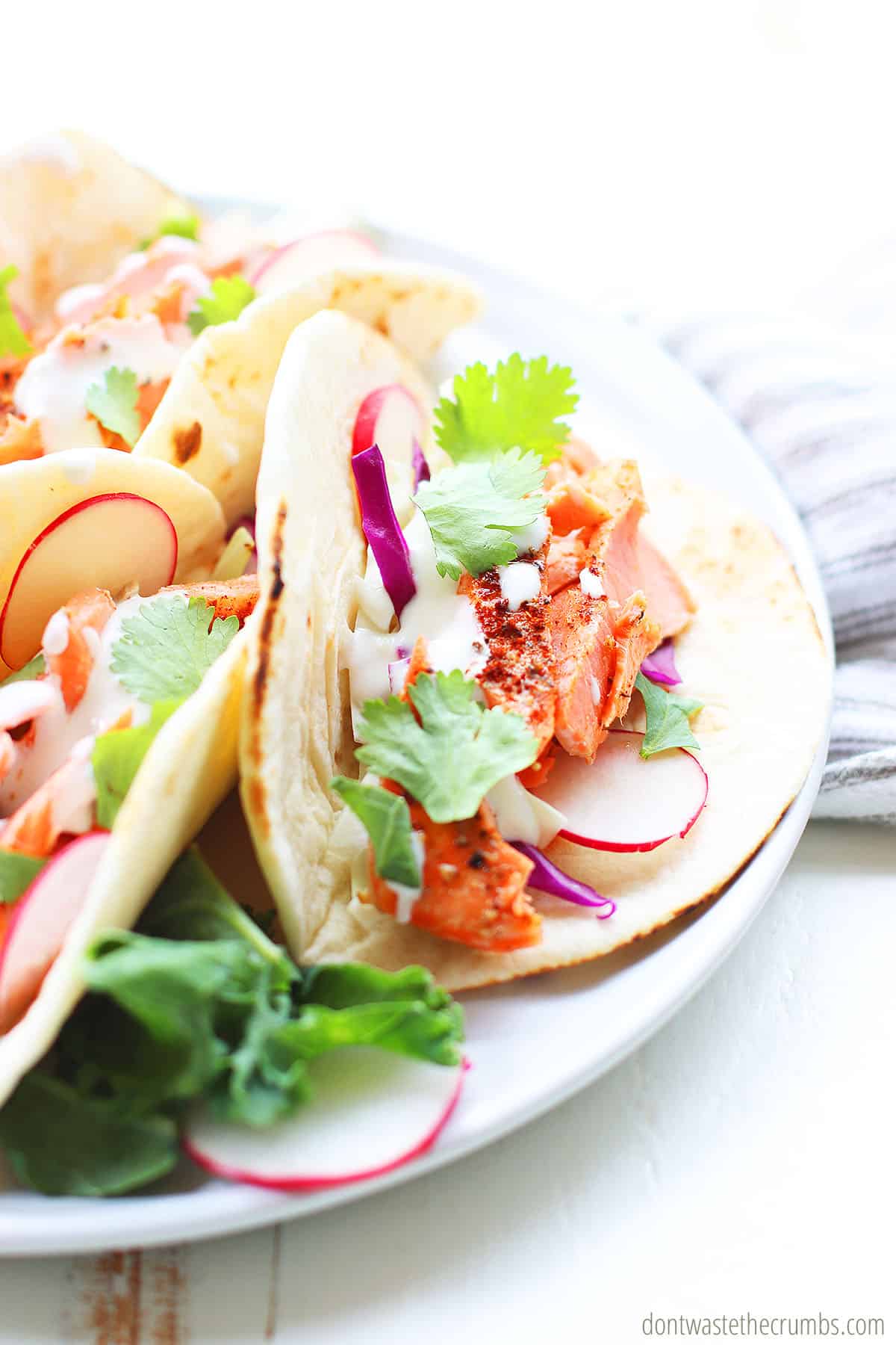 Upclose view of spicy salmon tacos on a white plate.
