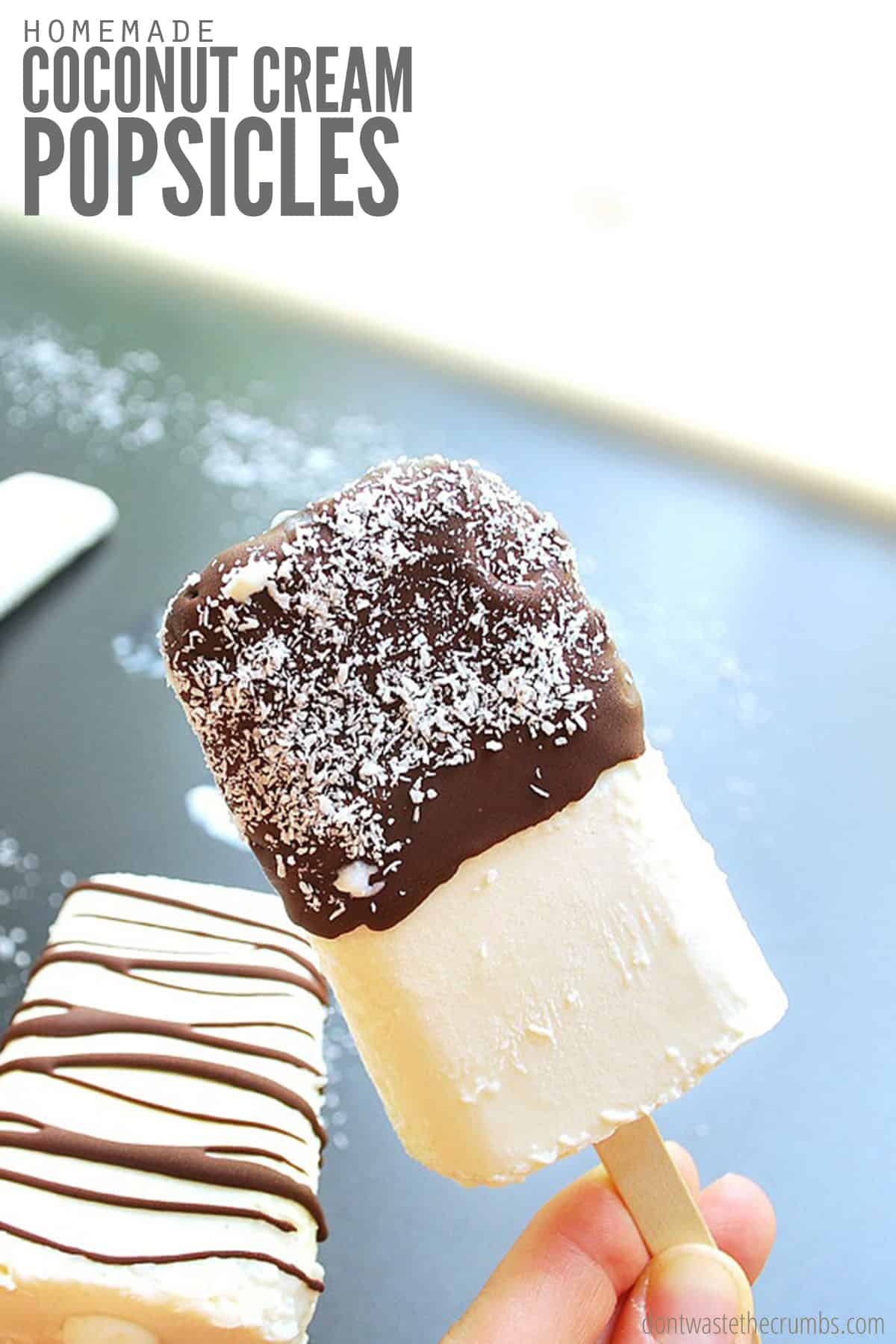 https://dontwastethecrumbs.com/wp-content/uploads/2022/05/Coconut-Cream-Pops-Chocolate-Dipped_Cover.jpg