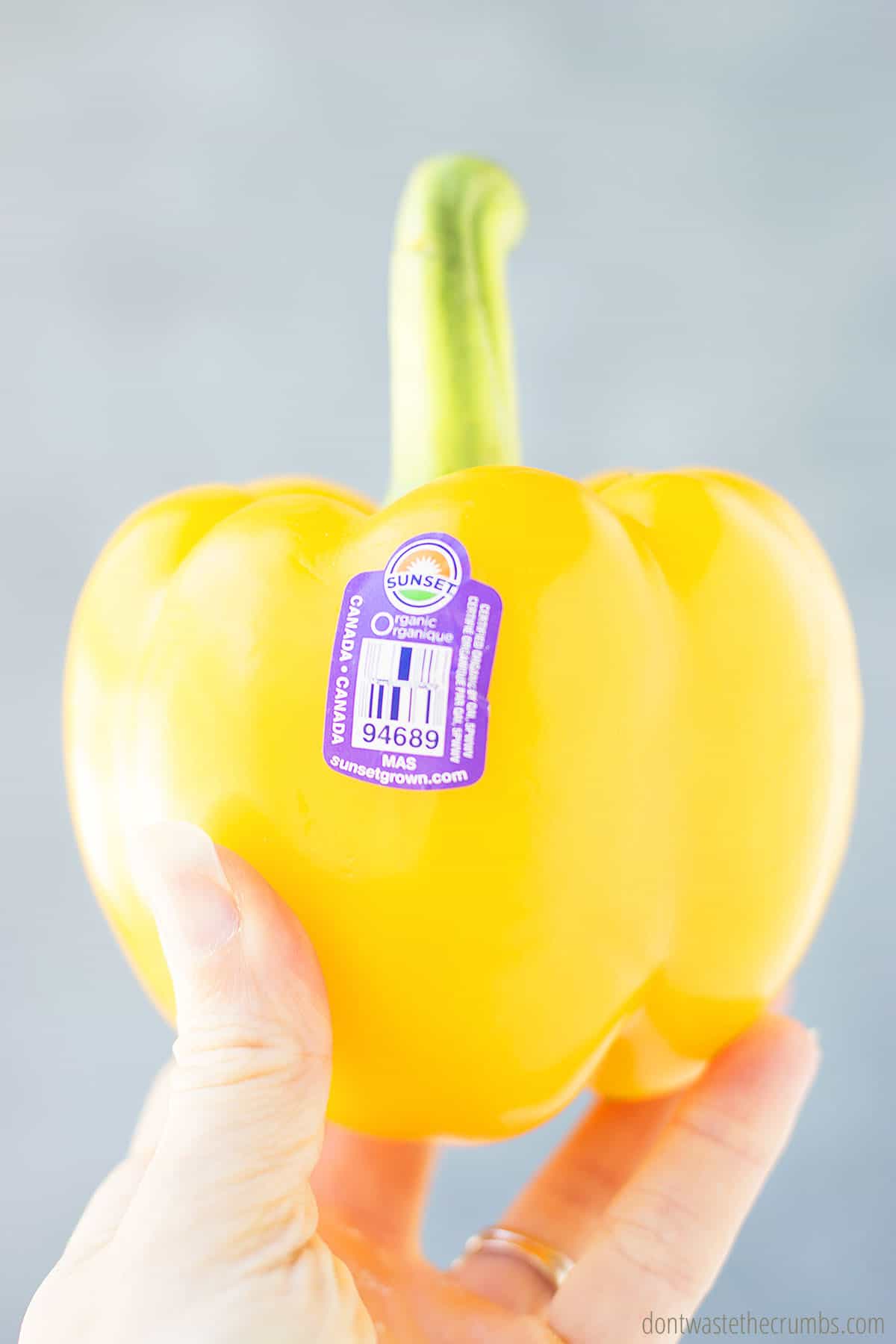Organic yellow bell pepper with a PLU sticker.