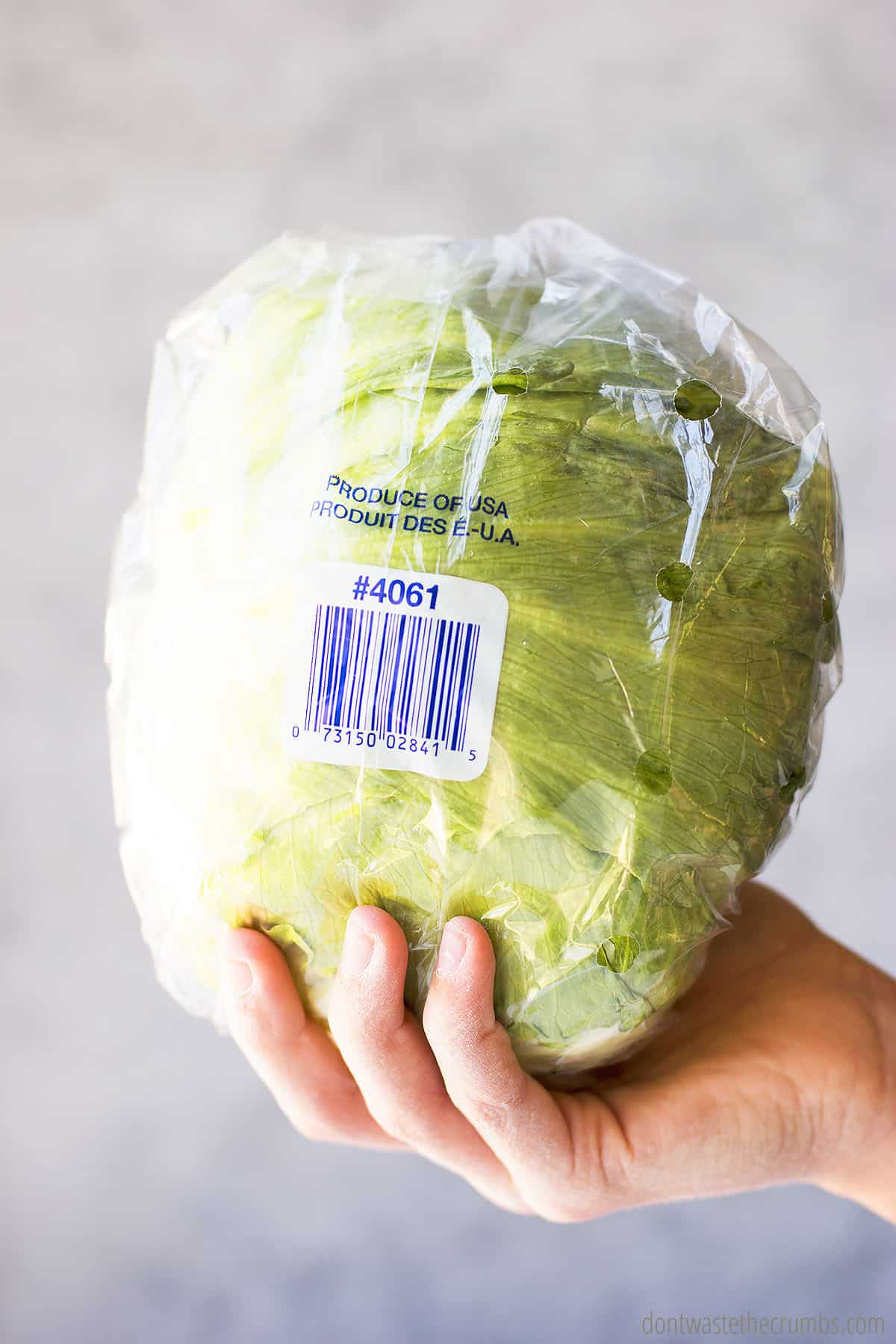 Lettuce with a PLU code.