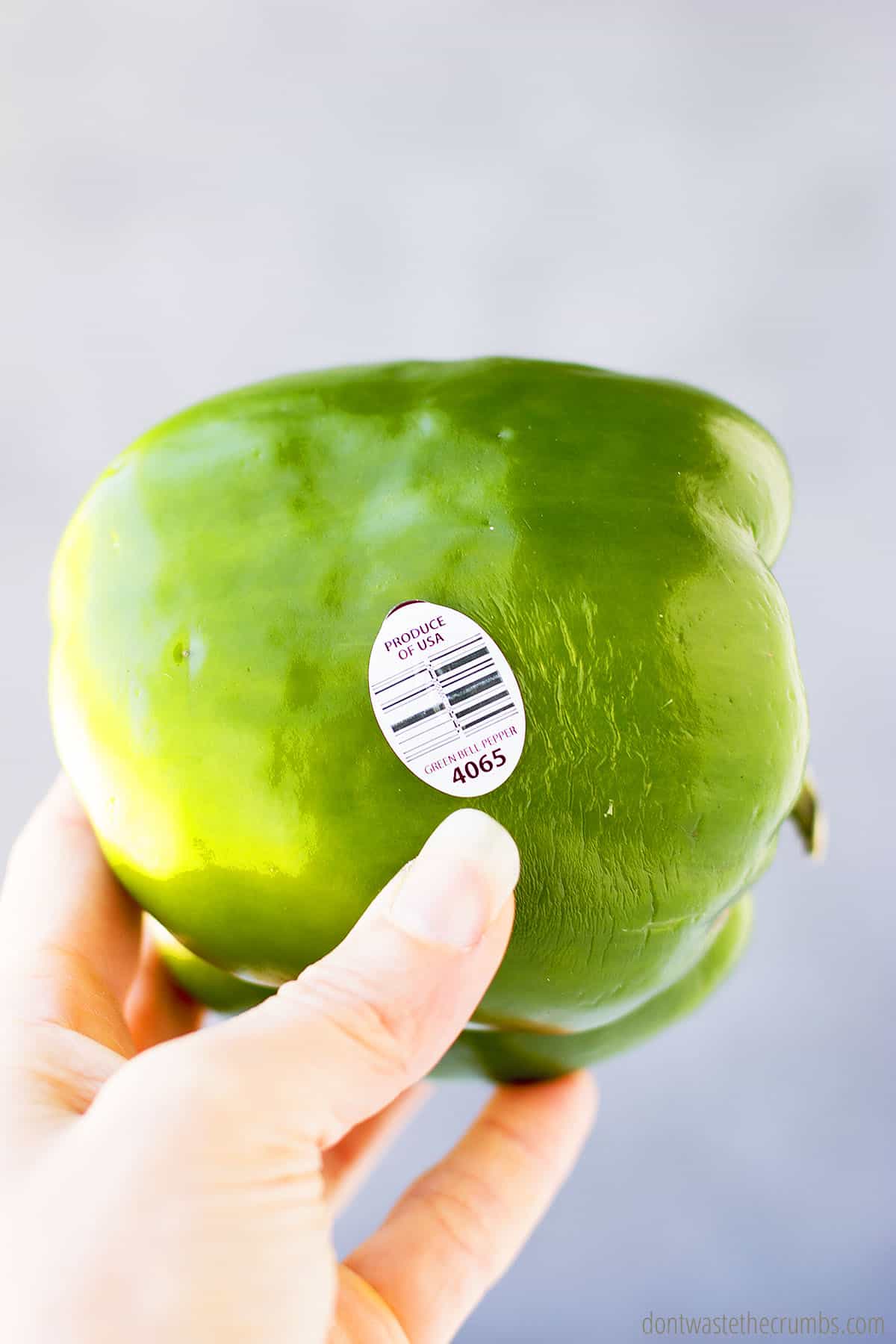 Green bell pepper with a PLU sticker.