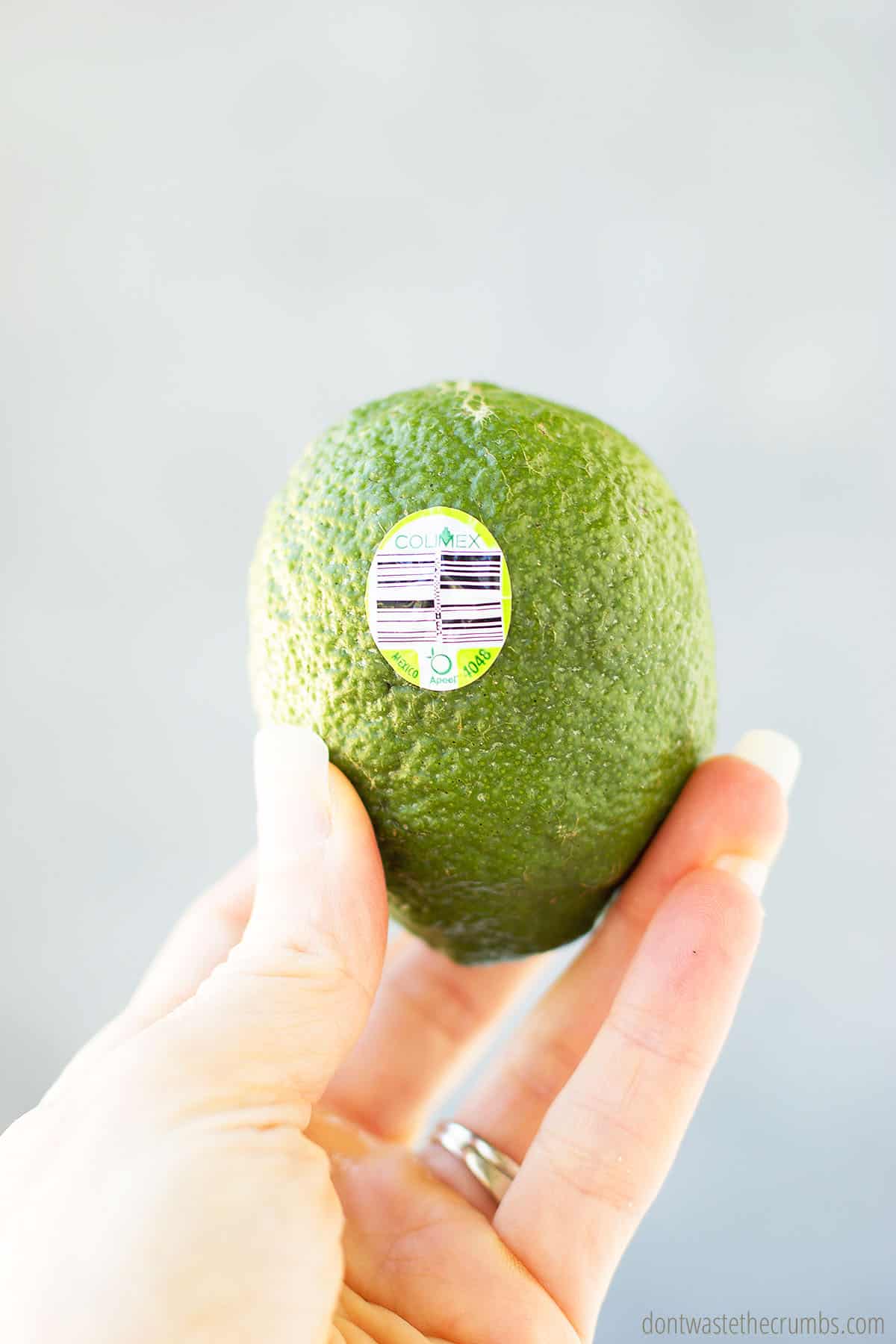 Avocado with PLU sticker.