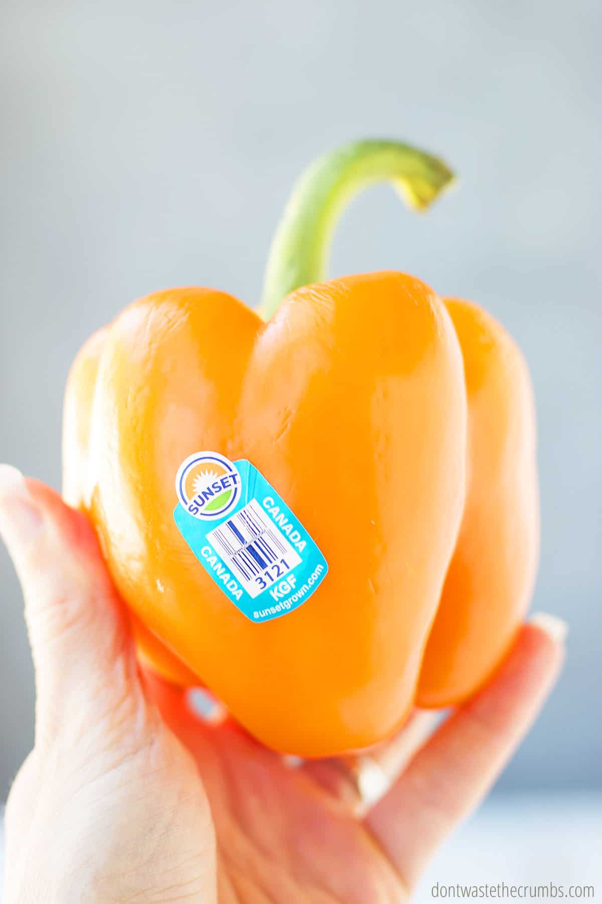 Orange bell pepper with PLU sticker.