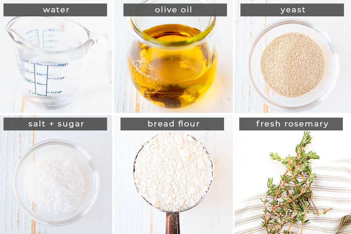 Image containing recipe ingredients water, olive oil, yeast, salt + sugar, bread flour, fresh rosemary.