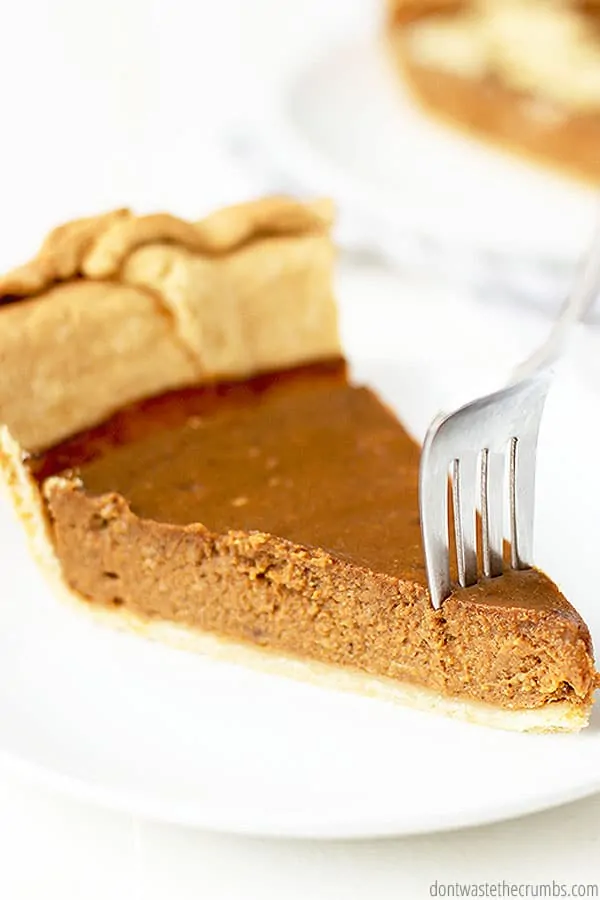 A slice of pumpkin pie on a white dish. A fork is sticking into the pie.