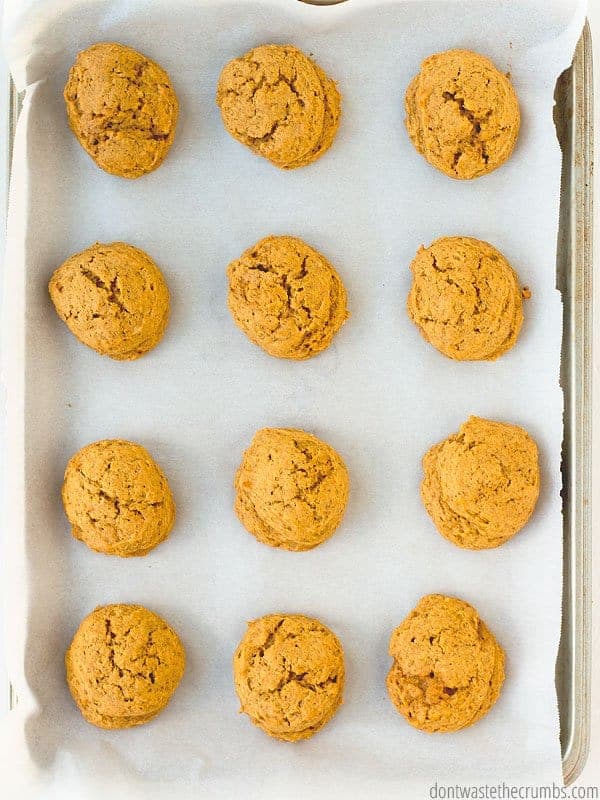 Fresh homemade pumpkin cookies on parchment paper and a baking sheet. They just came out of the oven!