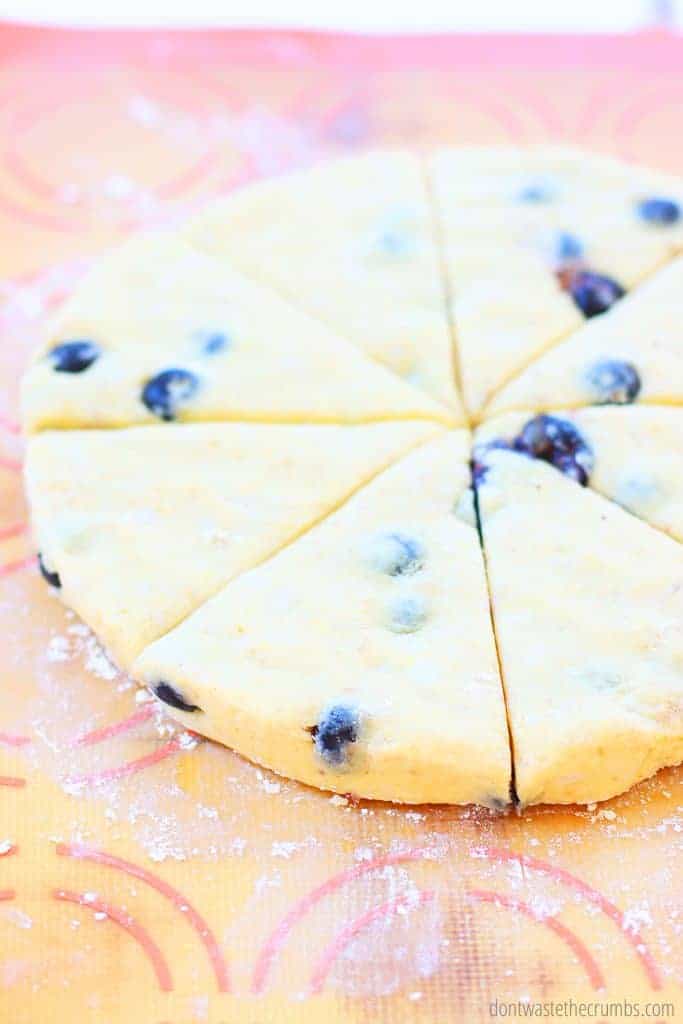 Raw lemon blueberry scone dough in a circle cut into 8 slices on a silpat mat