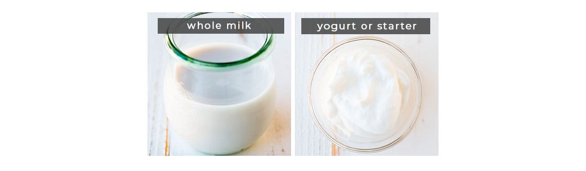 Image containing recipe ingredients milk and yogurt.