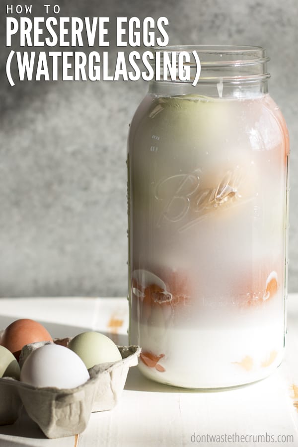 Water glassed eggs in a jar preserved for the off-peak months when hens lay few to no eggs. Water glassing eggs.
