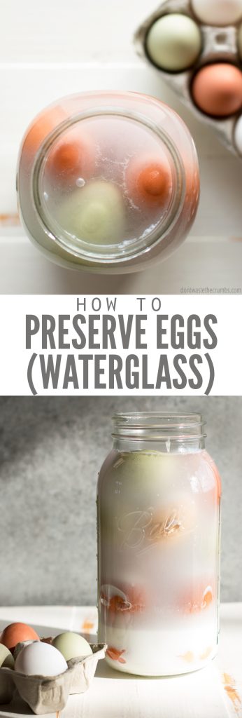 Water glassing eggs is the perfect method for preserving farm-fresh eggs for the winter months, when hens lay little to no eggs on the homestead (or in the backyard). Follow these super-simple steps to have delicious eggs year-round. Saves you money by preserving eggs for 12-18 months!