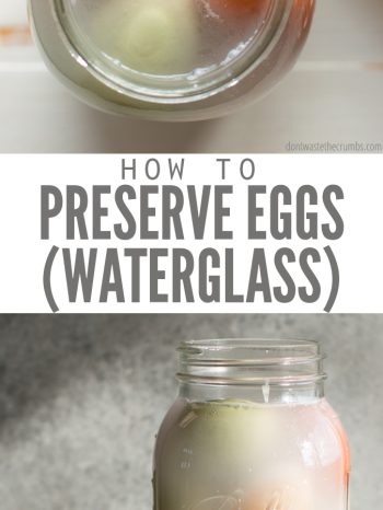 Water glassing eggs is the perfect method for preserving farm-fresh eggs for the winter months, when hens lay little to no eggs on the homestead (or in the backyard). Follow these super-simple steps to have delicious eggs year-round. Saves you money by preserving eggs for 12-18 months!