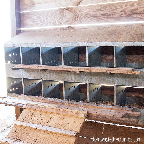 Nesting boxes for chickens.