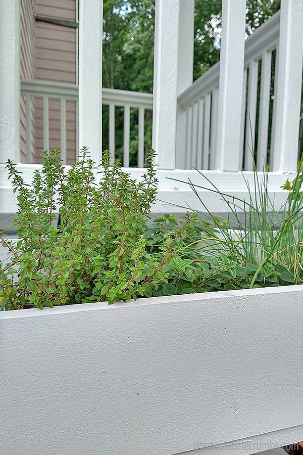 Using raised garden boxes is a perfect way to grow herbs at home.