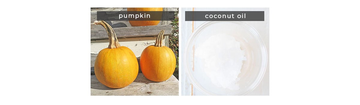 Image containing recipe ingredients: Pumpkin and Coconut Oil.