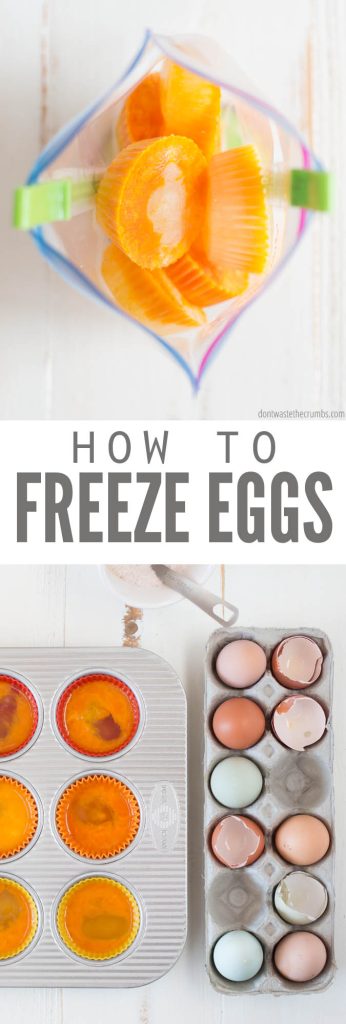 How To Freeze Eggs