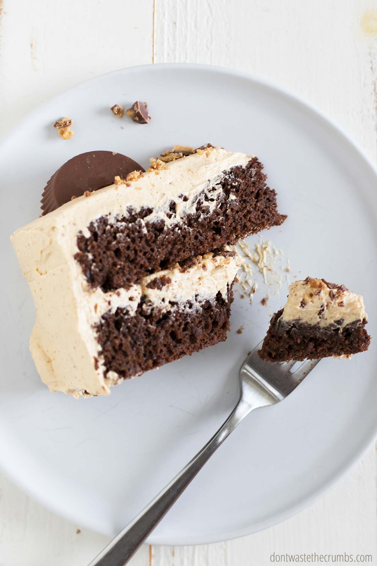 Chocolate peanut butter cake on a plate and sliced with a fork. Ready to be enjoyed.