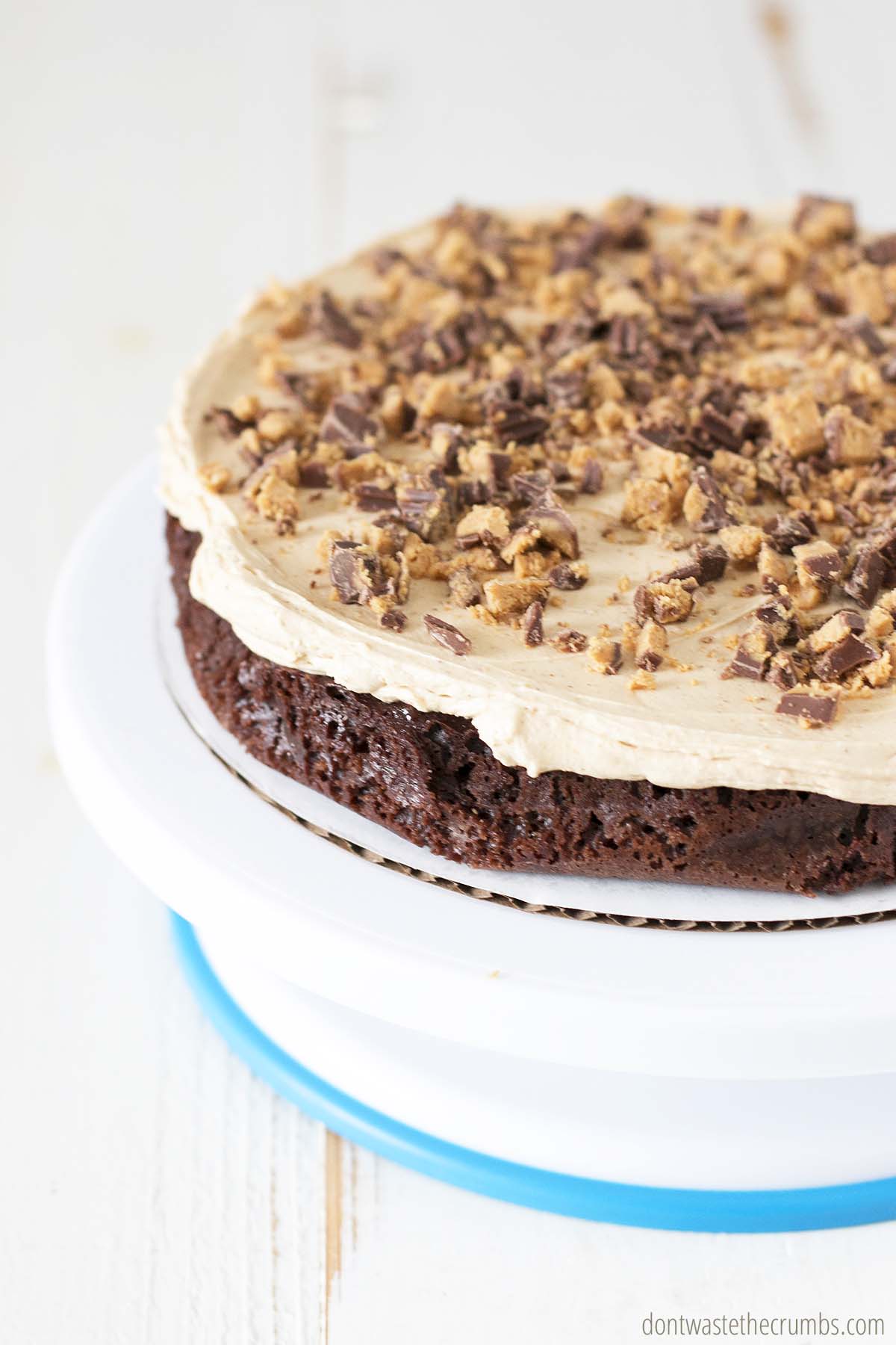 The bottom layer of chocolate peanut butter cake topped with peanut butter frosting and chopped peanut butter cups - on a cake stand.