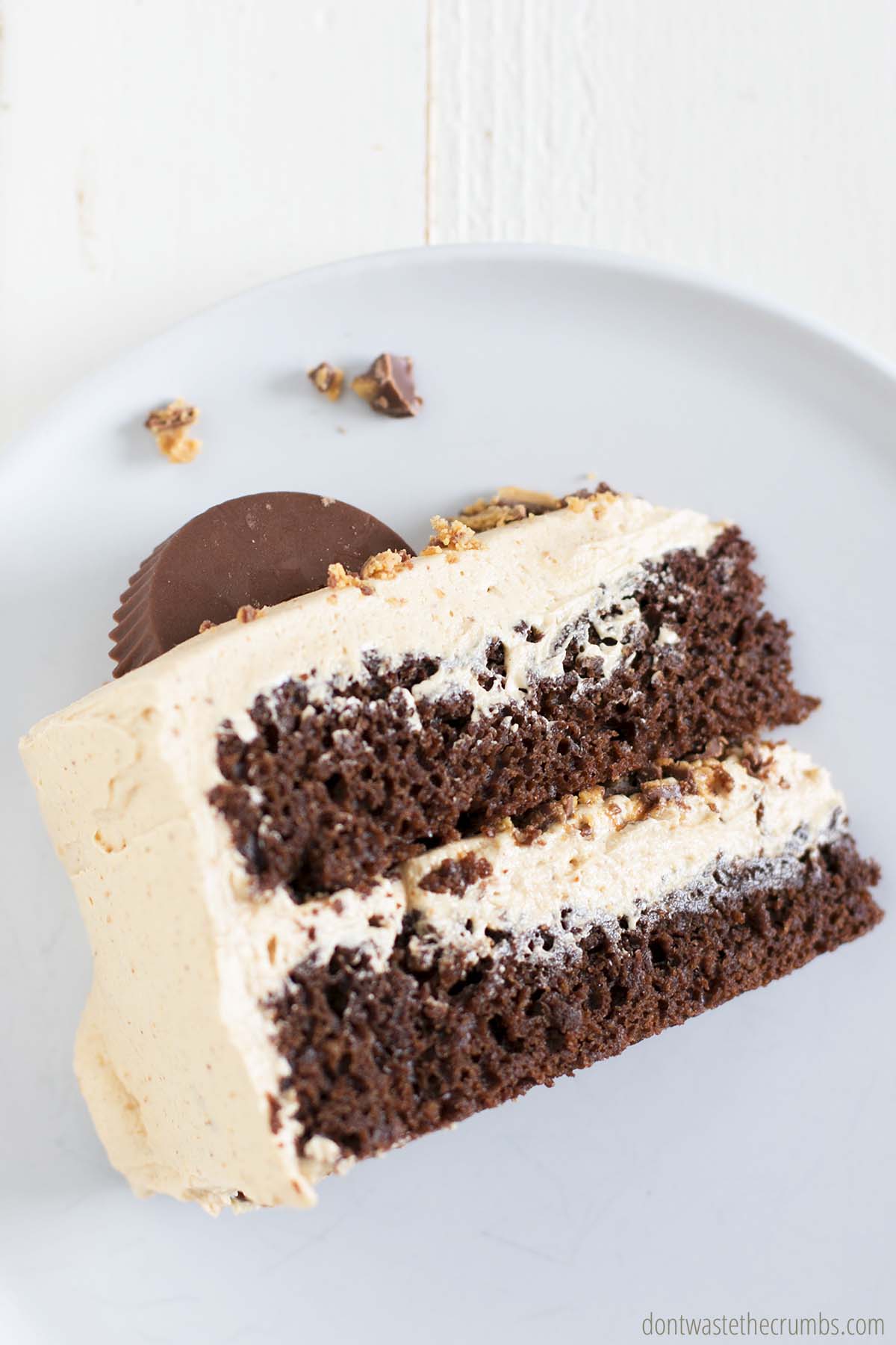A delicious slice of peanut butter chocolate cake with a little crushed peanut butter cup on top.