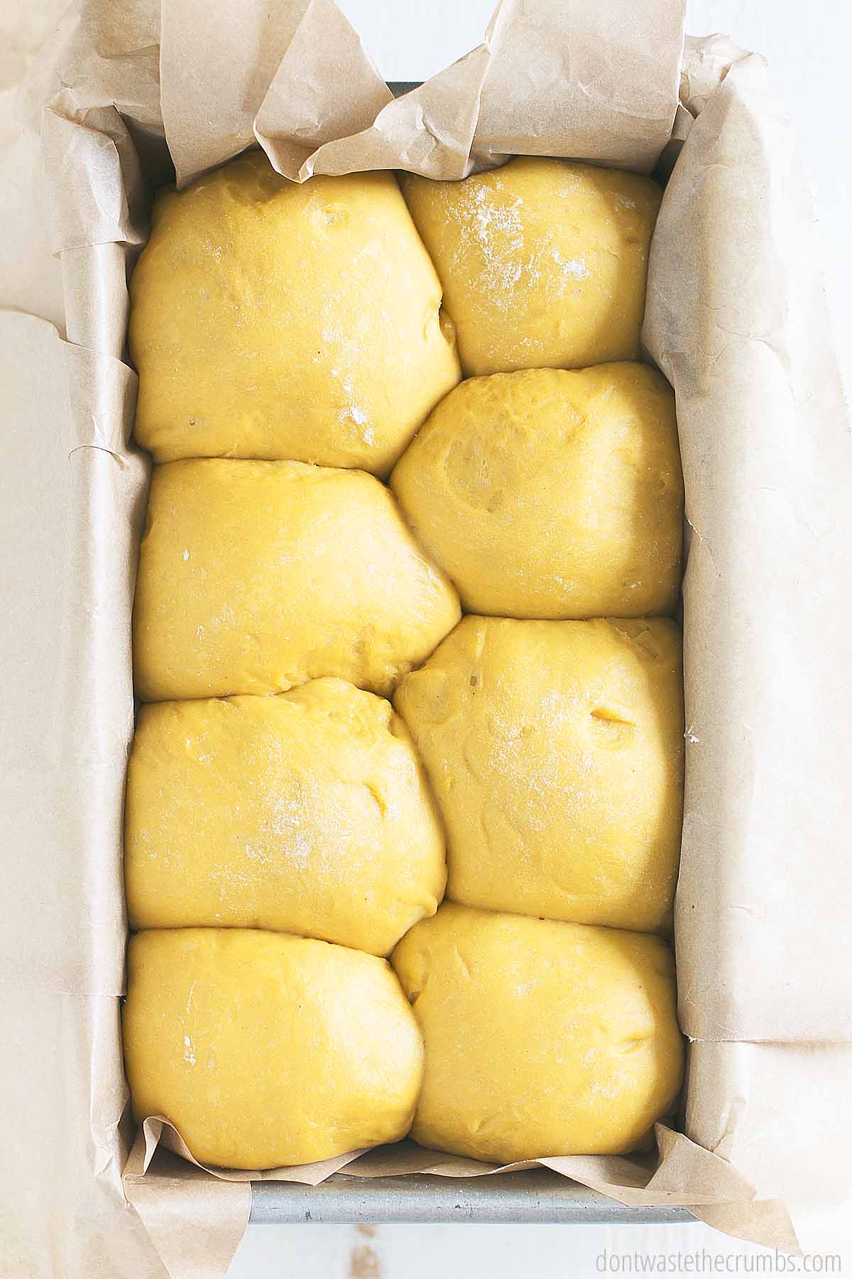 Eight dough balls in a parchment lined loaf pan.