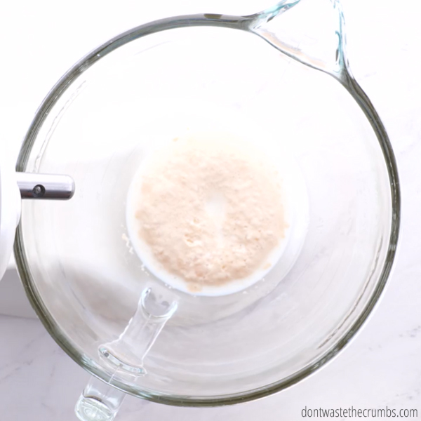Glass bowl with milk and yeast proofing.