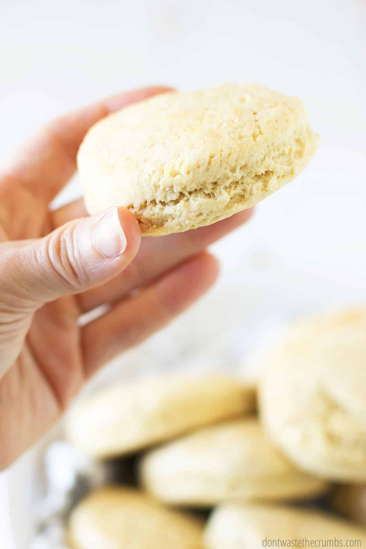 Hand holding a homemade biscuit.