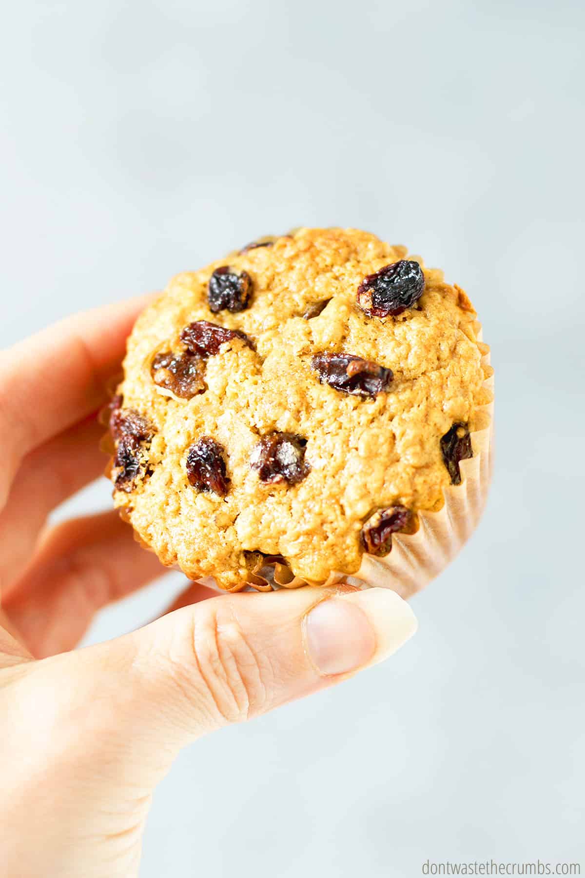 Hand holding buttermilk oatmeal muffin topped with raisins