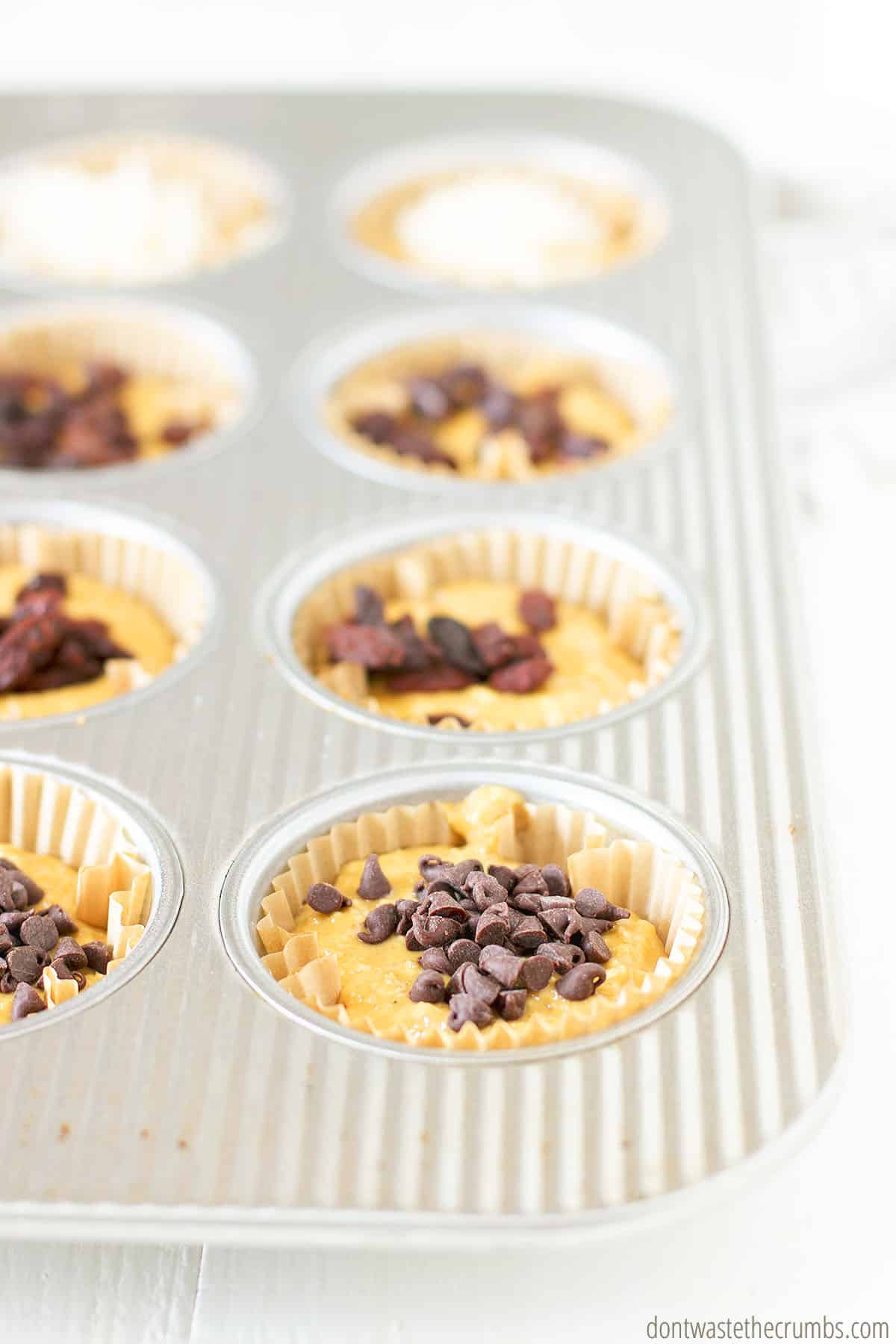 Uncooked buttermilk oatmeal muffins topped with chocolate chips in muffin tins
