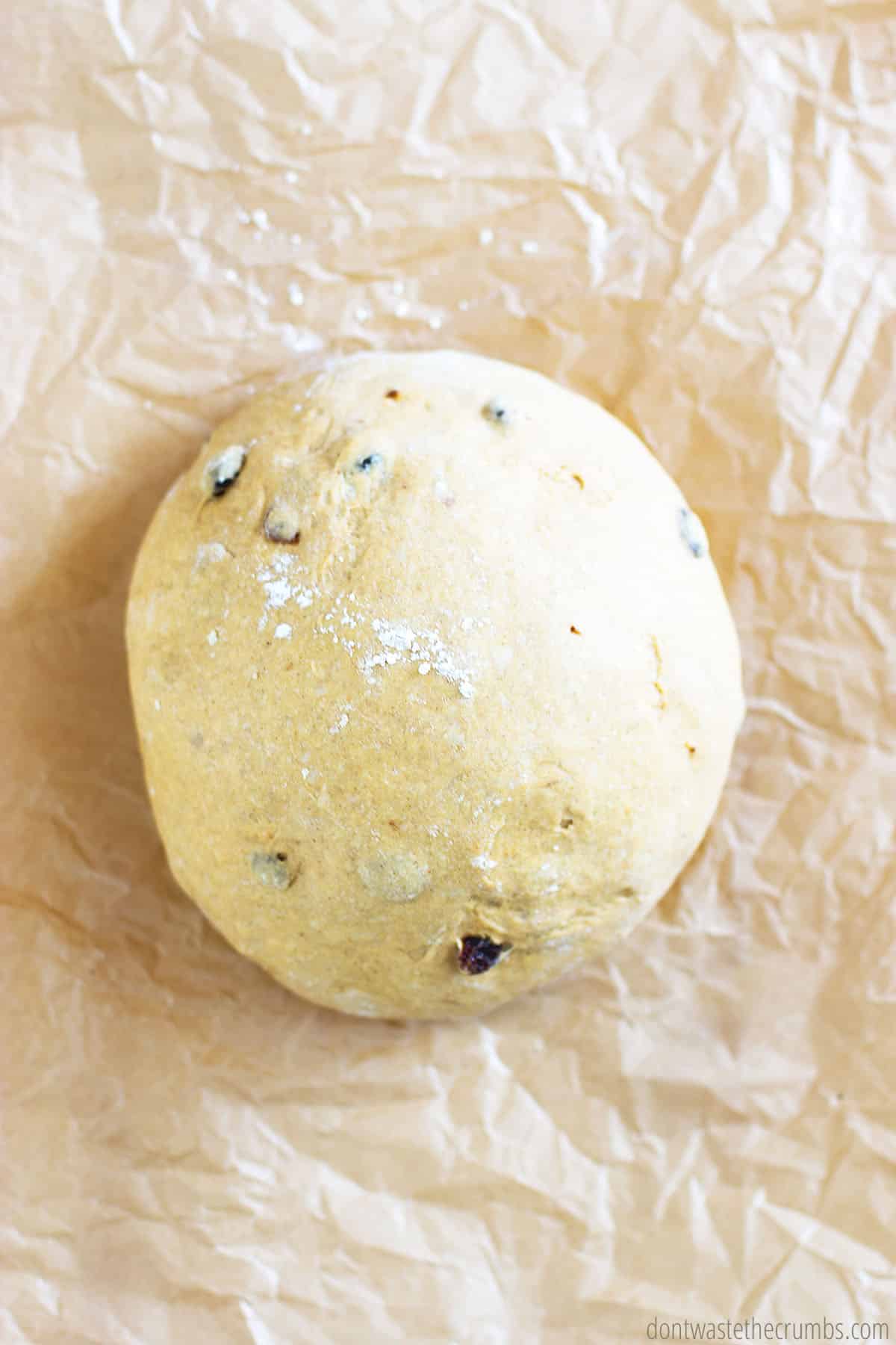 Ball of dough with raisins on parchment paper