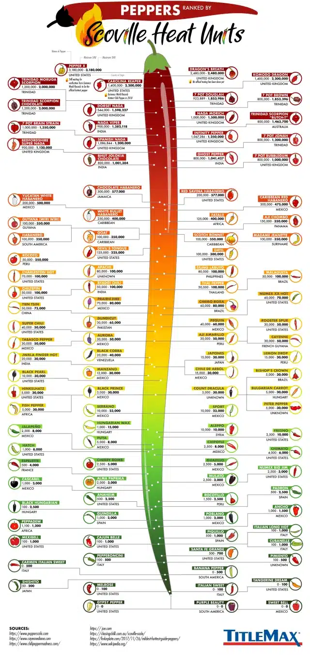 Understanding the Scoville Scale and Pepper Jelly Heat Levels