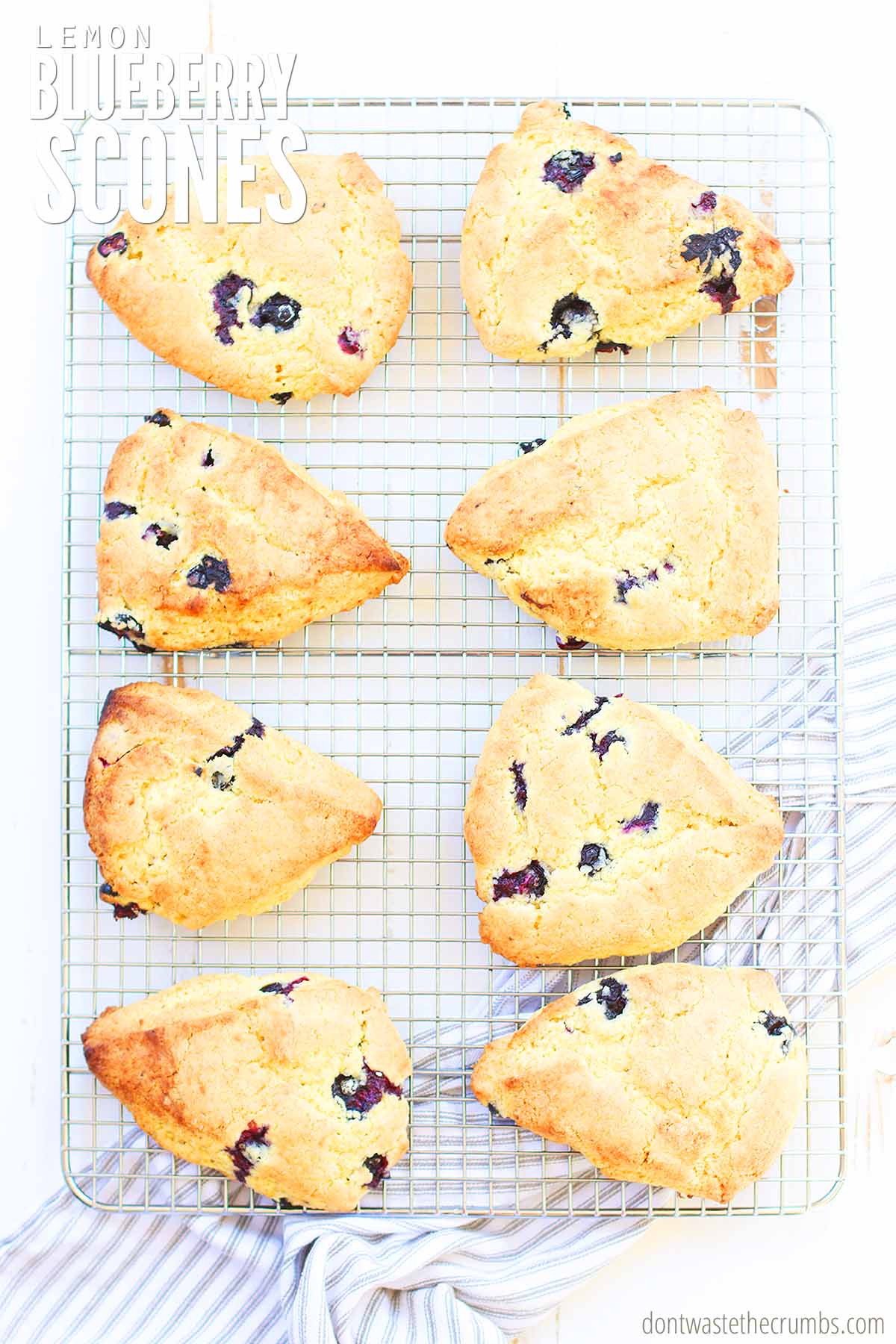 Eight lemon blueberry scones on a cooling rack. Title lemon blueberry scones on the upper left.