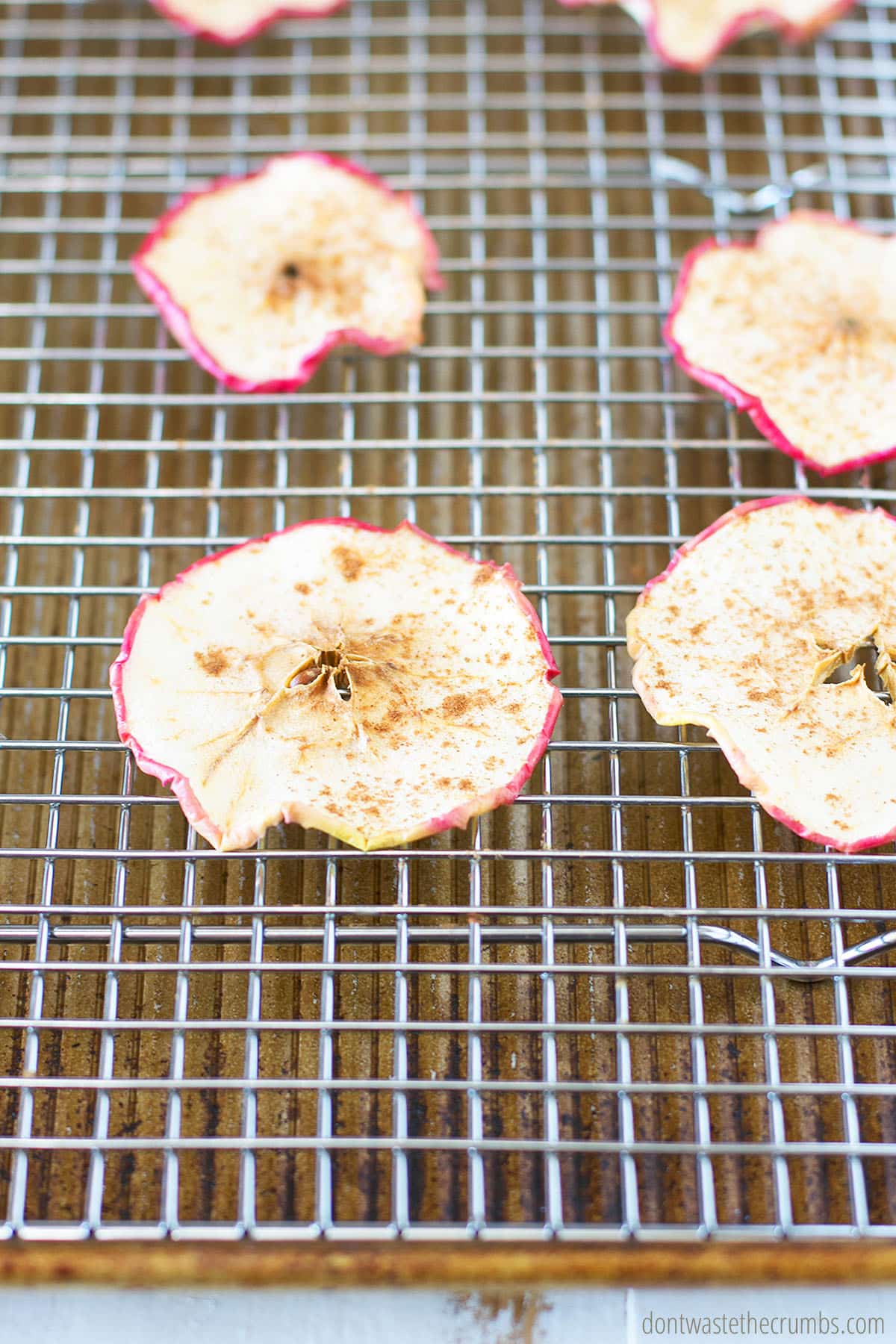 dried apples cooling on a rack over a baking sheet