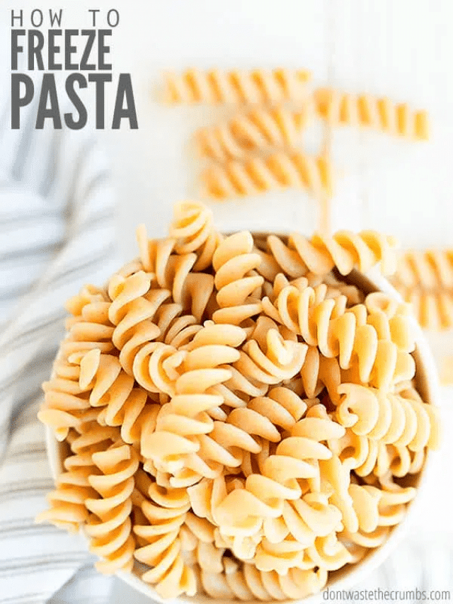 HOW TO FREEZE COOKED PASTA