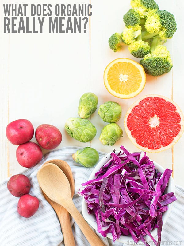 Image showing broccoli, half of an orange, half of a grapefruit, brussels sprouts, red potatoes, bowl of cabbage, and two wood spoons on top of a table cloth. Text overlay reads " What Does Organic Really Mean?"