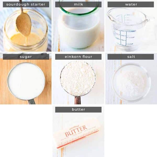 Image containing recipe ingredients sourdough starter, milk, water, sugar, einkorn flour, salt, and butter.