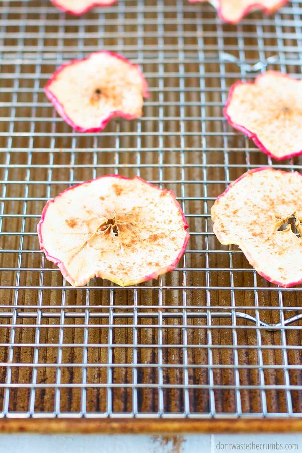 Dried apples cooling on a rack over a baking sheet.